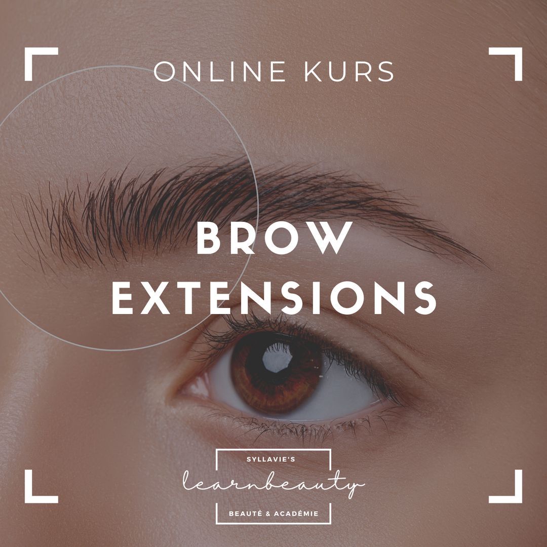 Brow Extensions: Online Kurs