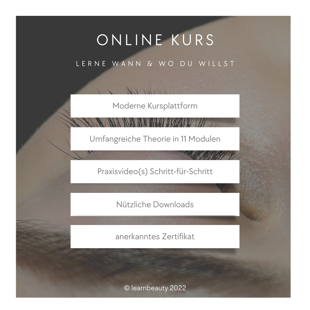 Wimpern-/Lash Extensions | 1:1 Technik: Online Kurs