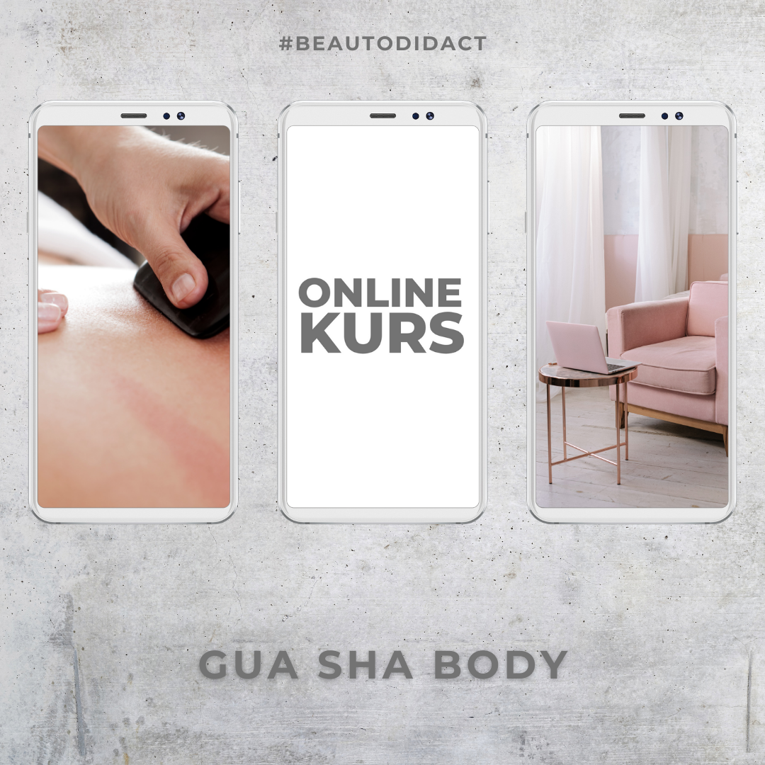 Gua Sha Body: Online Kurs