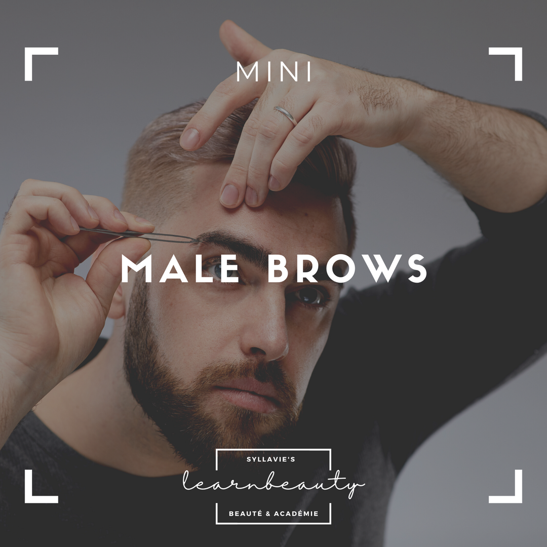Male Brows: Mini Online Kurs