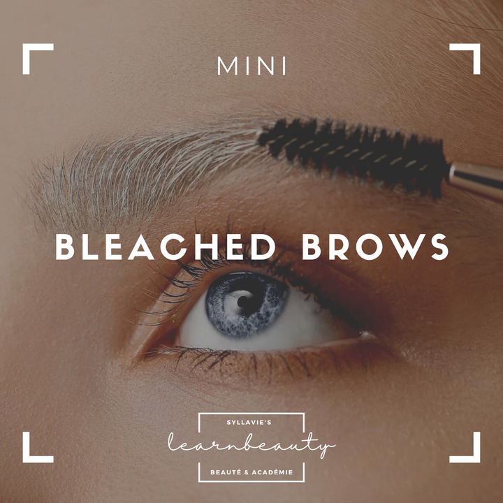 Bleached Brows: Mini Online Kurs